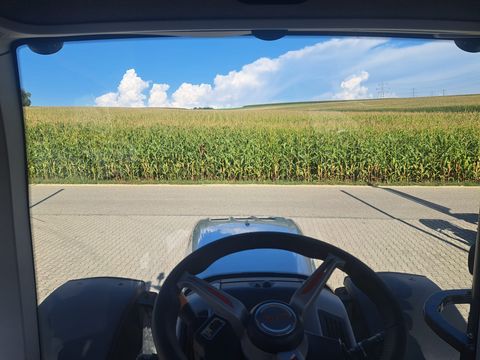 Steyr 6260 Absolut CVT