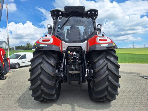 Steyr 6260 Absolut CVT