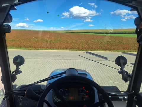 Steyr 4075 Kompakt S (Stage V)