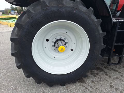 Steyr 6200 Absolut CVT