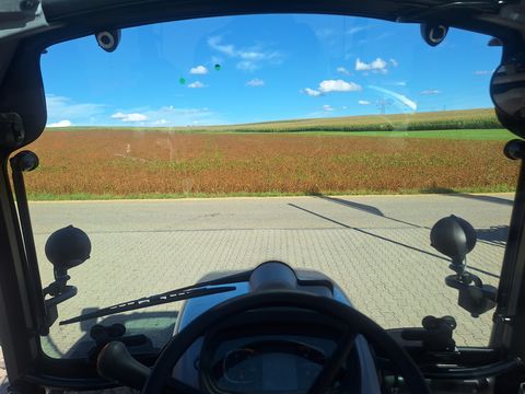 Steyr 4075 Kompakt S (Stage V)