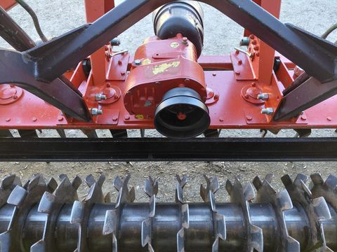 Forigo Forgio Kreiselegge 