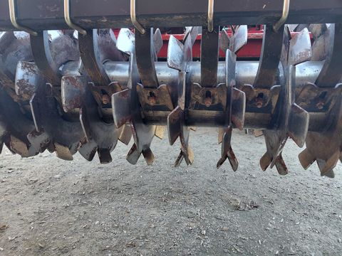 Forigo Forgio Kreiselegge 