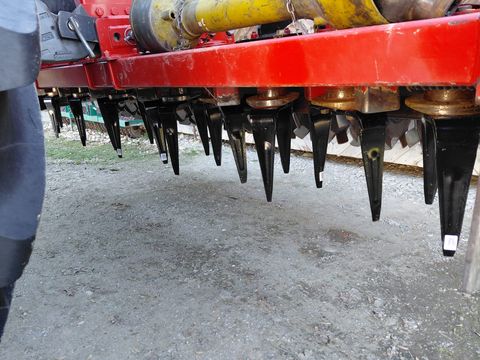 Forigo Forgio Kreiselegge 