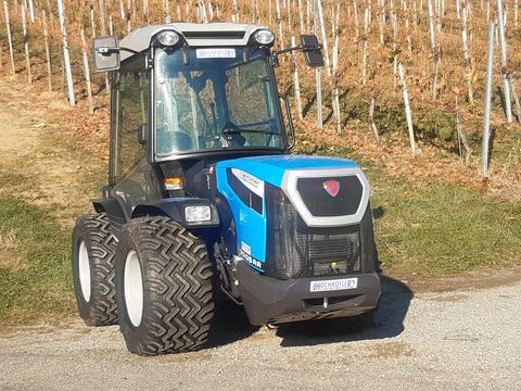 Traktor mit 4-Rad-Antrieb - 6015 - TAFE - hydrostatisch / für  Obstbaumkultur / für Weinanbau