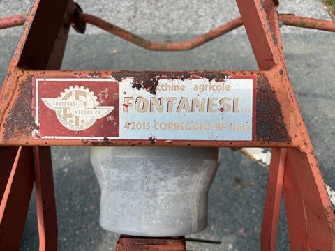 Sonstige Fontanesi