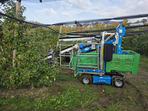 Vimas Ernte-Arbeitsmaschine VIMAS  HT 10