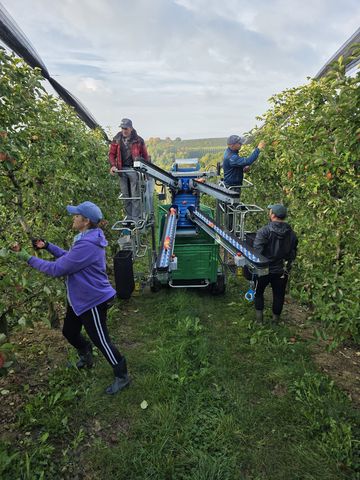 Vimas Ernte-Arbeitsmaschine VIMAS  HT 10