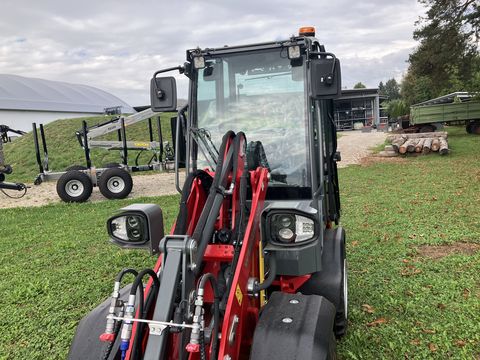 Weidemann 1190e Elektro Hoflader