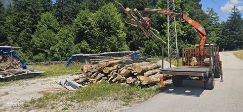 Sonstige Hiab Kran mit Eigenbau Anhänger
