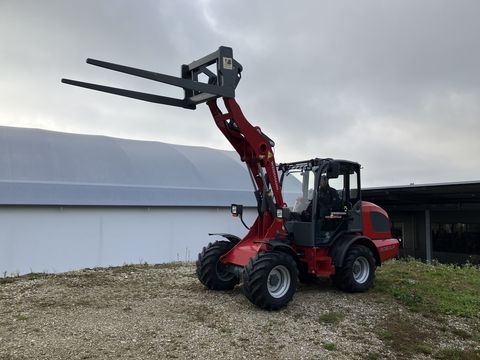 Weidemann 3080LP für Geflügelkistengabel sofort verfügbar 