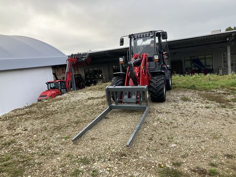 Weidemann 3080LP für Geflügelkistengabel sofort verfügbar 