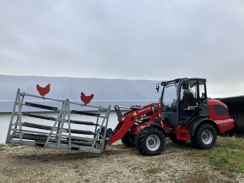 Weidemann 3080LP für Geflügelkistengabel sofort verfügbar 