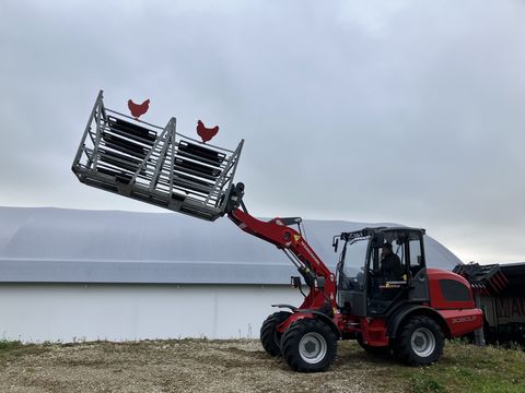 Weidemann 3080LP für Geflügelkistengabel sofort verfügbar 