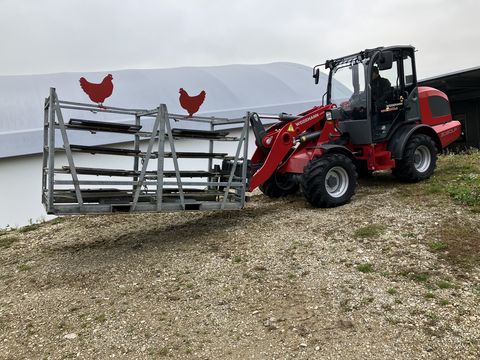 Weidemann 3080LP für Geflügelkistengabel sofort verfügbar 