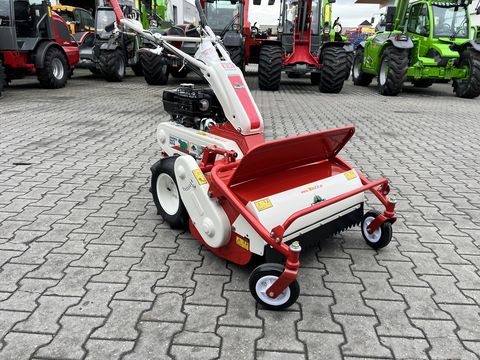 Herkules Hochgrasmäher HR 662H Schlegelmäher 