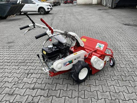 Herkules Hochgrasmäher HR 662H Schlegelmäher 