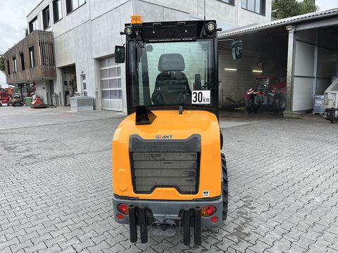 Giant G 2700HD+ mit Kabine & Weidemann HV