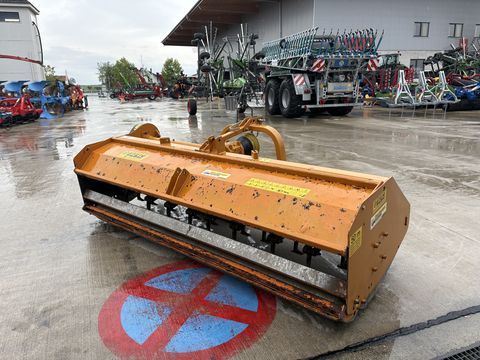 Berti TSP 300