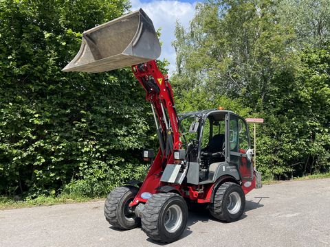 Weidemann 1775 CX SKA