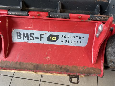 Seppi BMS-F 125 Mulchkopf für Bagger 10T-20T