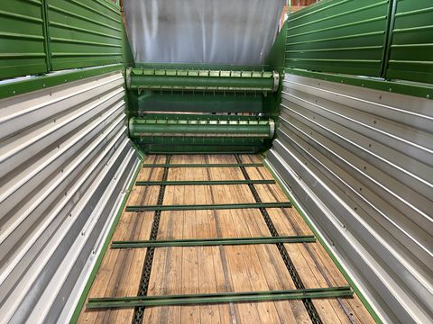 Bergmann SWING 21S