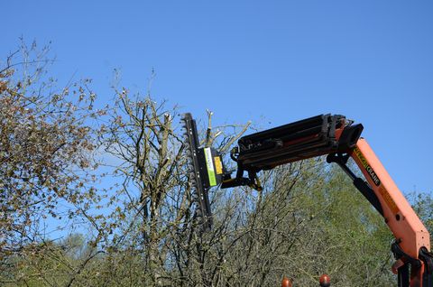 Greentec Astschere HX 170