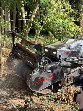 Prinoth Raptor 60
