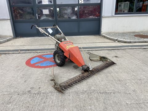 Bucher M200