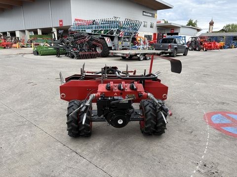 Rasant Rasant Junior 90 14 PS