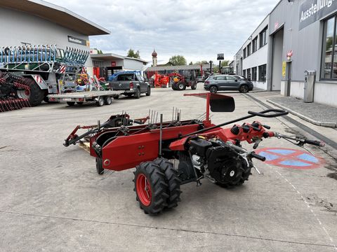 Rasant Rasant Junior 90 14 PS