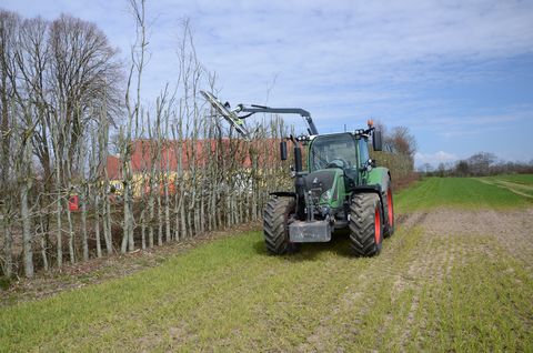 Greentec Astsäge LRS 2002
