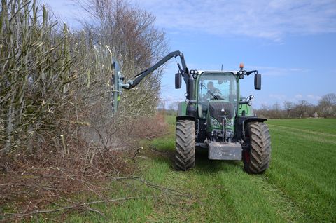 Greentec Astsäge LRS 2002
