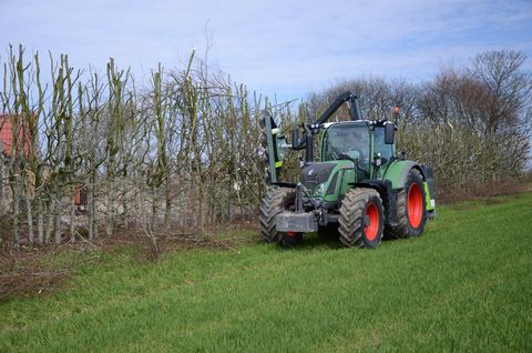 Greentec Astsäge LRS 2002