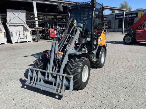 Giant 2700 HD+ mit Kabine Euro & Heckhydraulik Kat 2