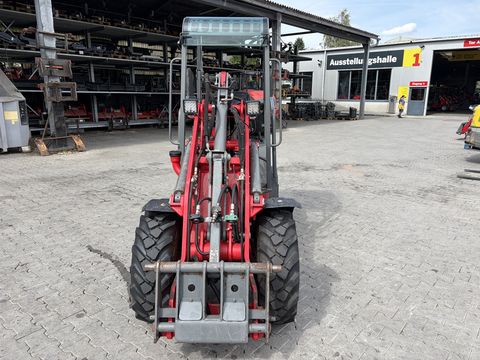 Weidemann 1255CX35 4 Zylinder - 30km/h