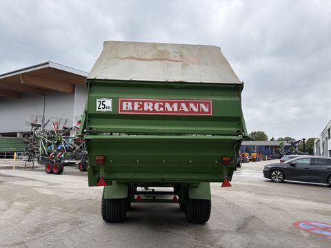 Bergmann SWING 21S