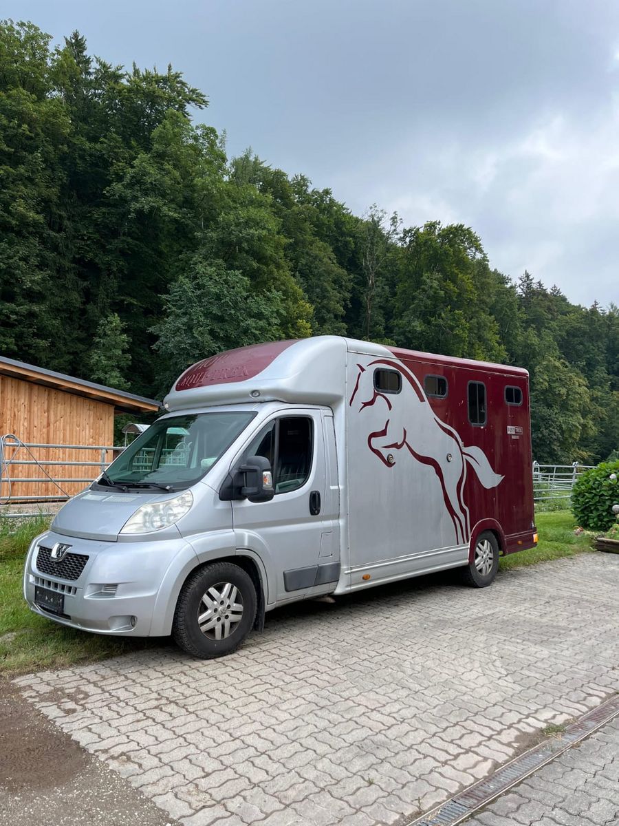 Peugeot Pferdetransporter 1
