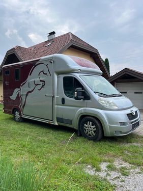 Sonstige Peugeot Pferdetransporter