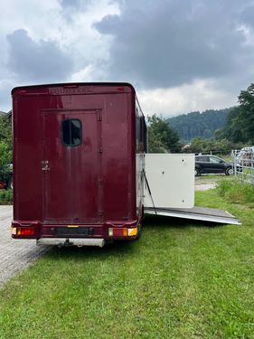 Sonstige Peugeot Pferdetransporter