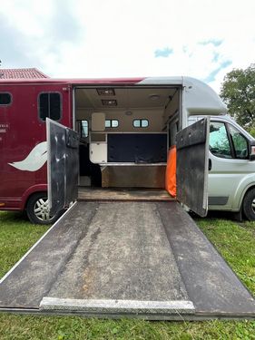 Sonstige Peugeot Pferdetransporter