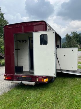 Sonstige Peugeot Pferdetransporter
