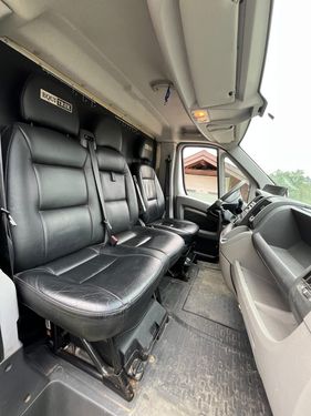 Sonstige Peugeot Pferdetransporter