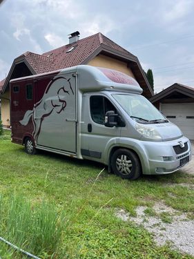 Sonstige Peugeot Pferdetransporter