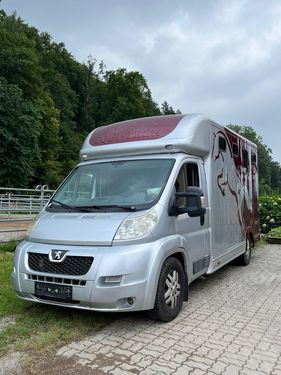 Sonstige Peugeot Pferdetransporter