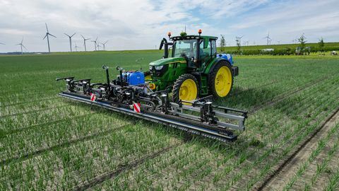 Rumex RXF 900