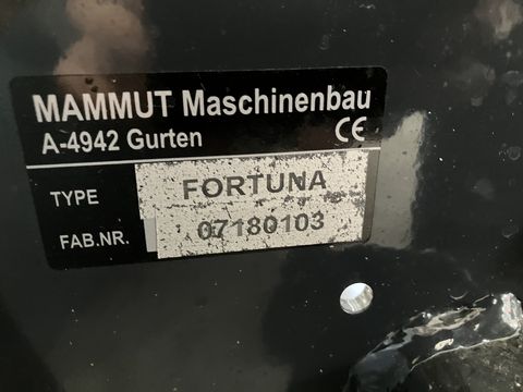 Sonstige Mammut Fortuna 