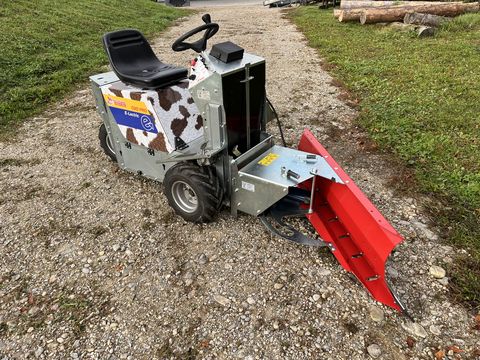 Westermann CM2 Pro Electric Plus & Schneeschild elektrisch