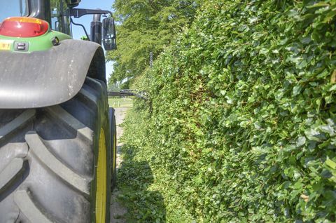 Greentec Ast-/Heckenschere HS 172