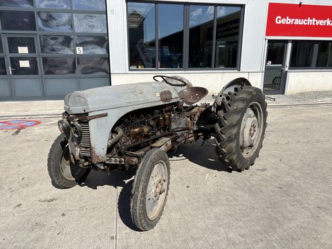 Massey Ferguson TED 20